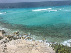 Meet your Posher, Suzzane